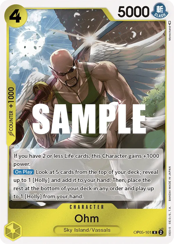 Ohm OP05-101 card